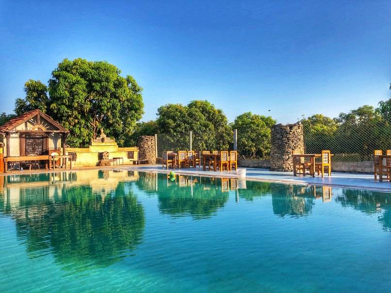 Gir Lion's Paw resort pool area